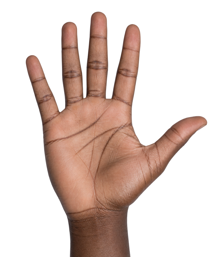 An open hand raised with the palm facing forward and the thumb out to the side